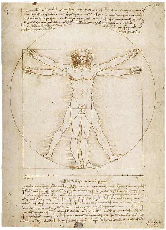 Da Vinci, Vitruvian Man (63kb)
