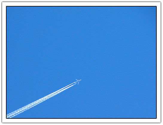 Plane in the air (29Kb)