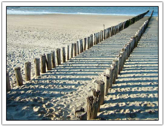 Shore (52kb)