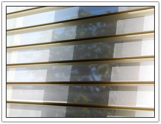 Photo from inside to outside through luxaflex (38kb)