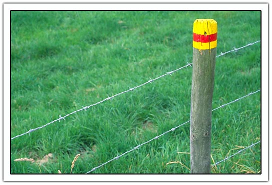 Barbed wire (40kb)