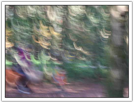 Wood camera shake (30kb)