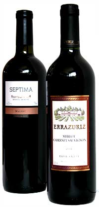 2 wine bottles (10Kb)